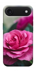 Чохол Троянда у саду для iPhone 17 Air