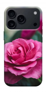 Чехол Роза в саду для iPhone 17 Pro Max