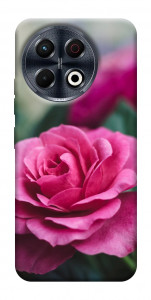 Чохол Троянда у саду для TECNO Spark 30 Pro (KL7)