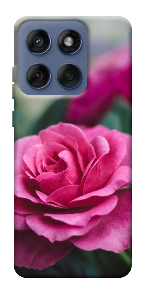 Чехол Роза в саду для Motorola Edge 60 Fusion
