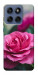 Чехол Роза в саду для Motorola Edge 60 Fusion
