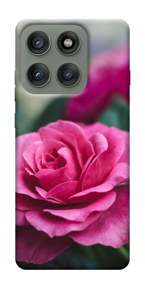 Чехол Роза в саду для Motorola Edge 60 Pro