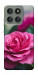Чехол Роза в саду для Motorola Edge 60 Pro