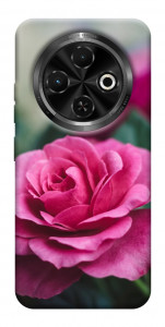 Чохол Троянда у саду для TECNO Spark 30C (KL5n)
