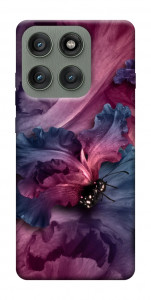 Чехол Насекомое для Motorola Edge 60 Pro