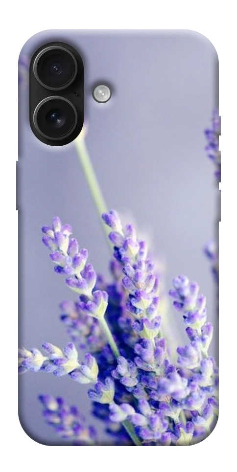 Чехол Лаванда для iPhone 17