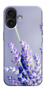 Чехол Лаванда для iPhone 17
