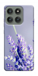 Чехол Лаванда для Motorola Edge 60 Pro