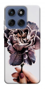 Чехол Гвоздика для Motorola Edge 60 Fusion