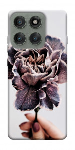 Чехол Гвоздика для Motorola Edge 60 Pro
