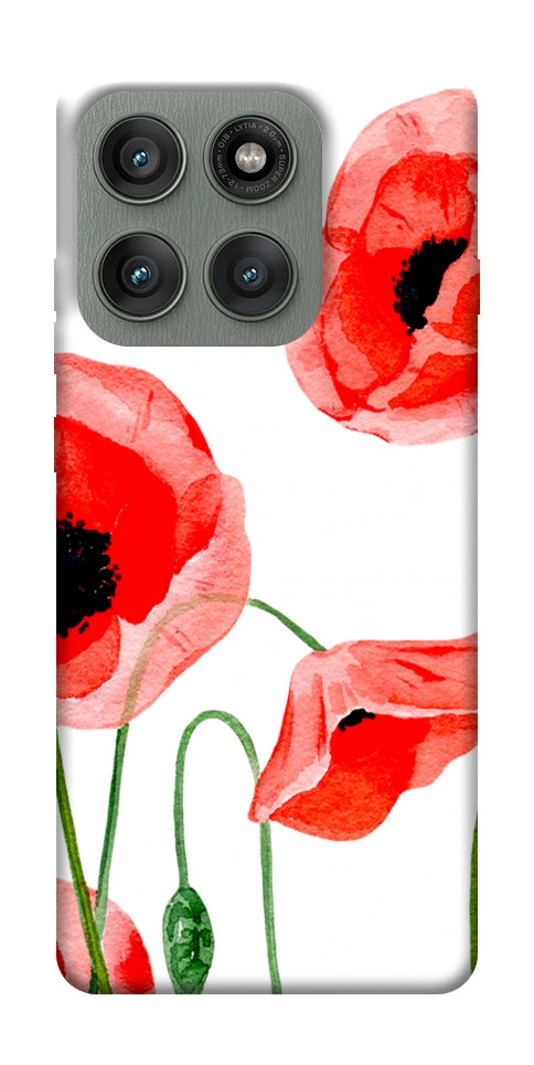 Чохол Акварельні маки для Motorola Edge 60 Pro