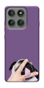Чехол Мопс для Motorola Edge 60 Pro