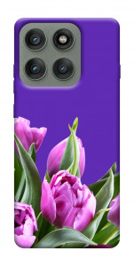 Чохол Тюльпани для Motorola Edge 60 Pro