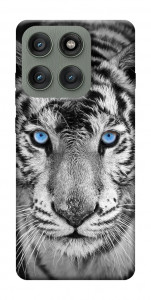 Чохол Бенгальський тигр для Motorola Edge 60 Pro