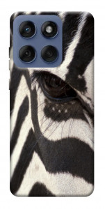 Чохол Зебра для Motorola Edge 60 Fusion