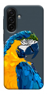 Чехол Попугай для Galaxy A17 5G