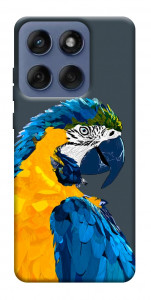 Чохол Папуга для Motorola Edge 60 Fusion