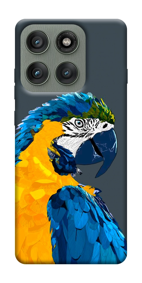 Чохол Папуга для Motorola Edge 60 Pro