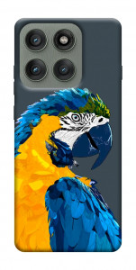 Чохол Папуга для Motorola Edge 60 Pro