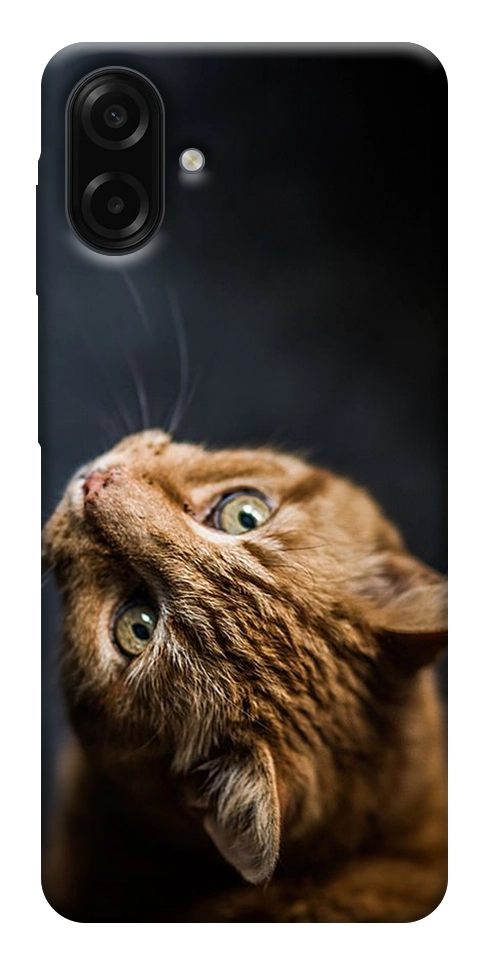 Чохол Рудий кіт для Galaxy A07
