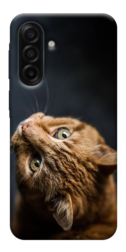 Чехол Рыжий кот для Galaxy A17 5G