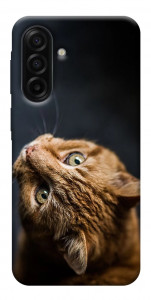 Чехол Рыжий кот для Galaxy A17 5G