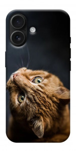 Чехол Рыжий кот для iPhone 17
