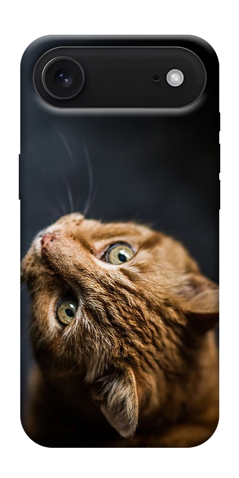 Чехол Рыжий кот для iPhone 17 Air