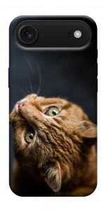 Чехол Рыжий кот для iPhone 17 Air