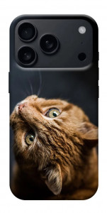 Чехол Рыжий кот для iPhone 17 Pro Max