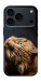 Чехол Рыжий кот для iPhone 17 Pro Max