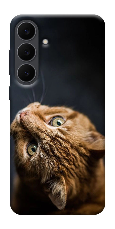 Чехол Рыжий кот для Galaxy S25 FE