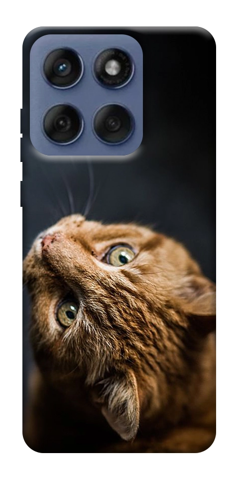 Чохол Рудий кіт для Motorola Edge 60 Fusion