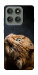 Чохол Рудий кіт для Motorola Edge 60 Pro