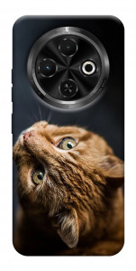 Чохол Рудий кіт для TECNO Spark 30C (KL5n)