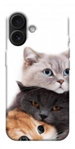 Чехол Три кота для iPhone 17