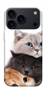 Чехол Три кота для iPhone 17 Pro Max