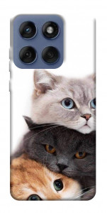 Чохол Три коти для Motorola Edge 60 Fusion