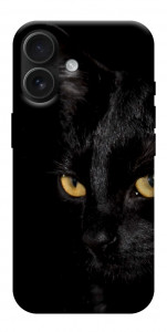 Чехол Черный кот для iPhone 17