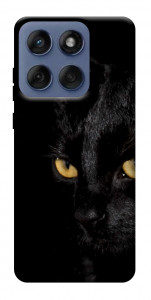 Чохол Чорний кіт для Motorola Edge 60 Fusion