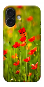 Чехол Маковое поле для iPhone 17