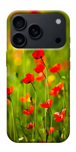 Чехол Маковое поле для iPhone 17 Pro Max