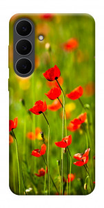 Чехол Маковое поле для Galaxy S25 FE
