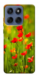 Чохол Макове поле для Motorola Edge 60 Fusion