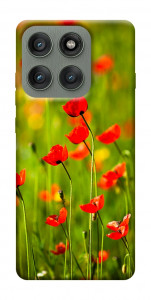 Чохол Макове поле для Motorola Edge 60 Pro