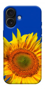 Чехол Sunflower для iPhone 17