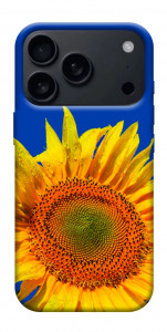 Чехол Sunflower для iPhone 17 Pro Max