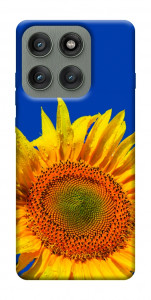 Чохол Sunflower для Motorola Edge 60 Pro