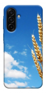 Чехол Пшеница для Galaxy A17 5G