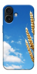 Чехол Пшеница для iPhone 17